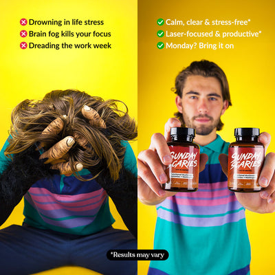 Mushroom Gummies for Focus Best Sales Price - Gummies