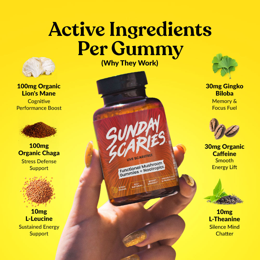 Mushroom Gummies for Focus Best Sales Price - Gummies
