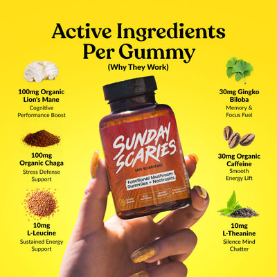 Mushroom Gummies for Focus Best Sales Price - Gummies