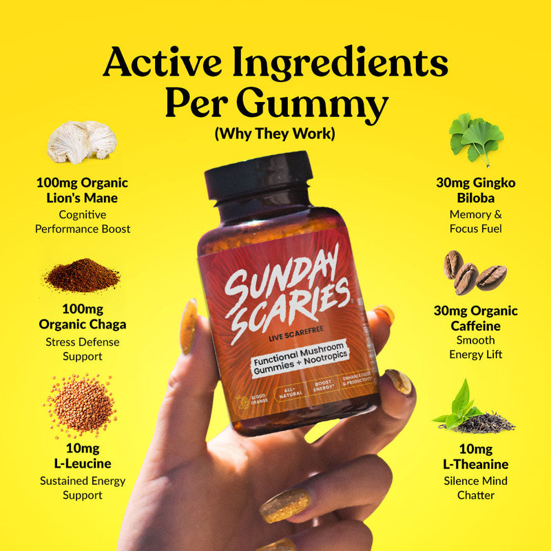 Mushroom Gummies for Focus Best Sales Price - Gummies