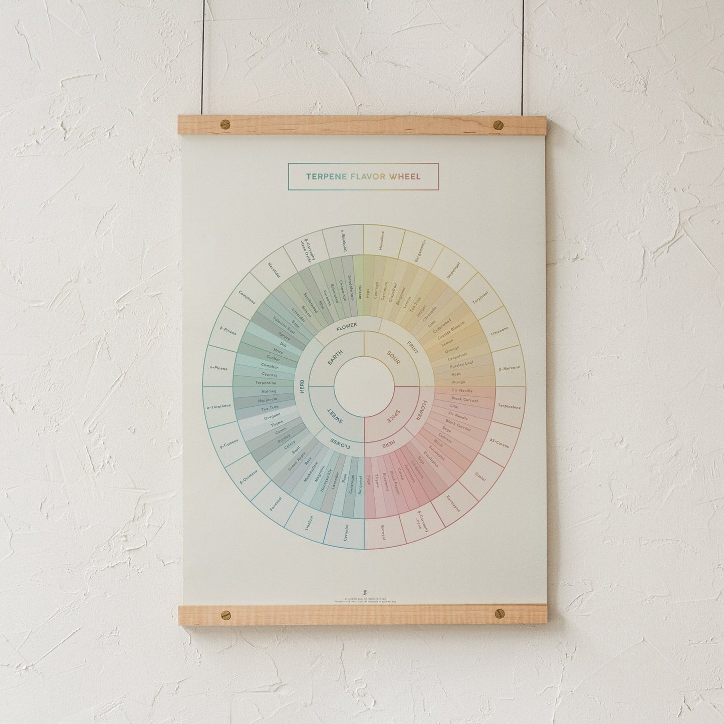 GoldLeaf Terpene Flavor Wheel Diagram Print Best Sales Price - Art Prints
