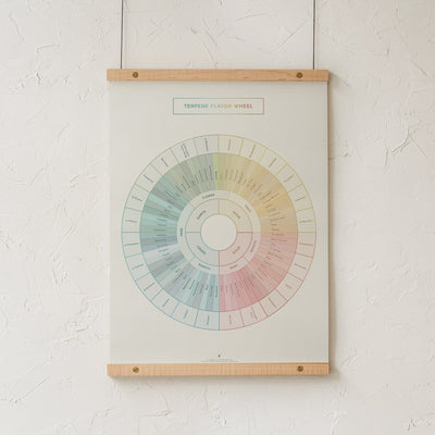 GoldLeaf Terpene Flavor Wheel Diagram Print Best Sales Price - Art Prints