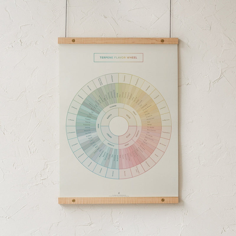 GoldLeaf Terpene Flavor Wheel Diagram Print Best Sales Price - Art Prints