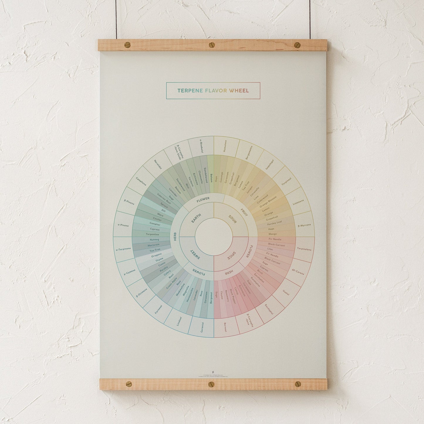 GoldLeaf Terpene Flavor Wheel Diagram Print Best Sales Price - Art Prints