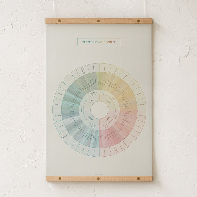 GoldLeaf Terpene Flavor Wheel Diagram Print Best Sales Price - Art Prints