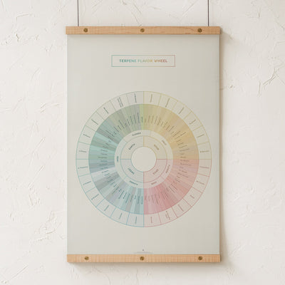 GoldLeaf Diagrama de la Rueda de Sabores y Terpenos Impresión Best Sales Price - Art Prints