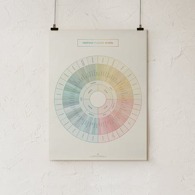 GoldLeaf Terpene Flavor Wheel Diagram Print Best Sales Price - Art Prints