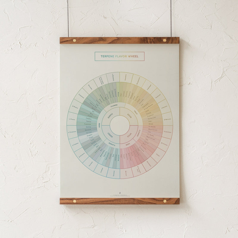 GoldLeaf Diagrama de la Rueda de Sabores y Terpenos Impresión Best Sales Price - Art Prints