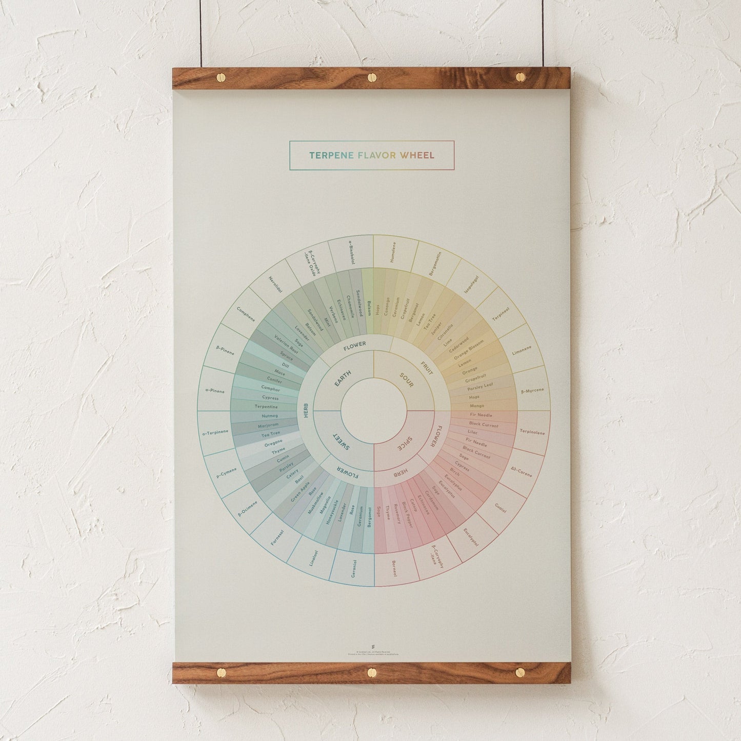 GoldLeaf Terpene Flavor Wheel Diagram Print Best Sales Price - Art Prints
