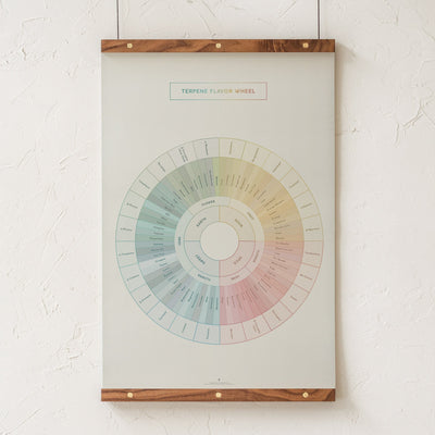 GoldLeaf Terpene Flavor Wheel Diagram Print Best Sales Price - Art Prints
