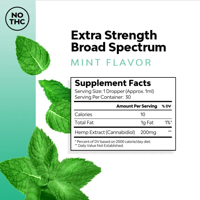 Mint Extra Strength CBD Tincture Best Sales Price - Tincture Oil