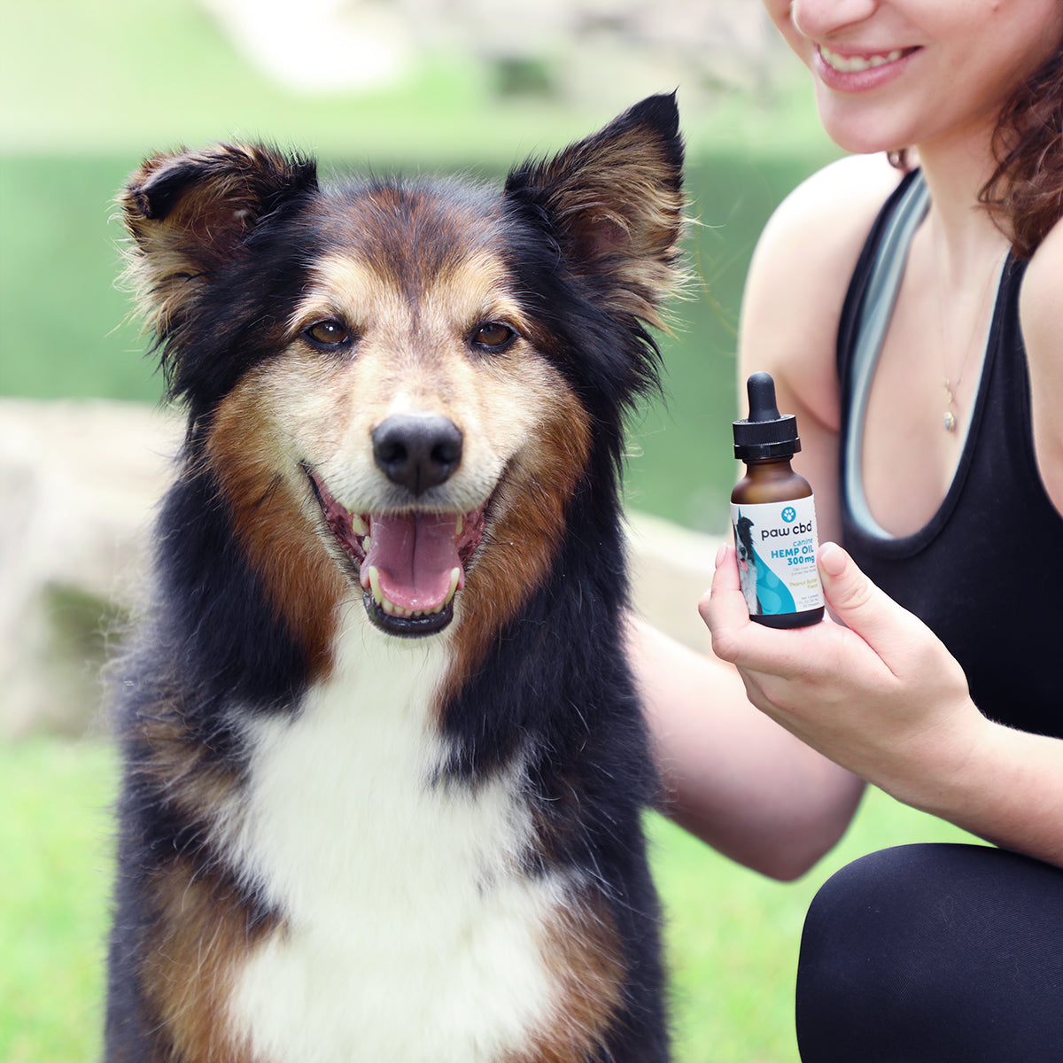 Paw CBD Broad Spectrum CBD Dog Oil Tincture Best Sales Price - Tincture Oil