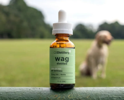 CBDistillery 600mg CBD Pet Wellness Tincture (0% THC*) Best Sales Price - Tincture Oil