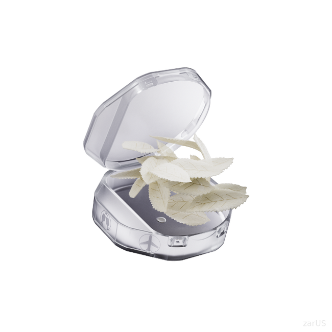 zar Spearmint Fresh 16mg