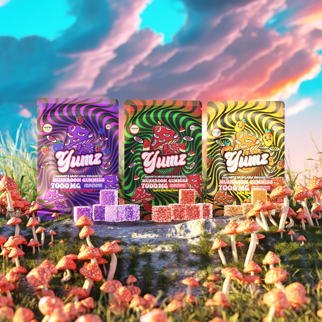 YUMZ - Mushroom Gummies ( Bundle )