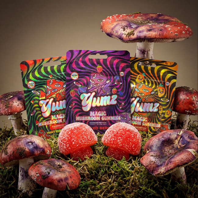 YUMZ - Mushroom Gummies ( Bundle )