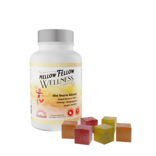 Mellow Fellow Wellness - Gummies - 300mg - Burn Blend - Tropic Medley Best Sales Price - Gummies
