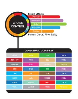 3Chi True Strains Cannabis 2ml Pod–Cruise Control (Hybrid) Best Sales Price - Vape Cartridges