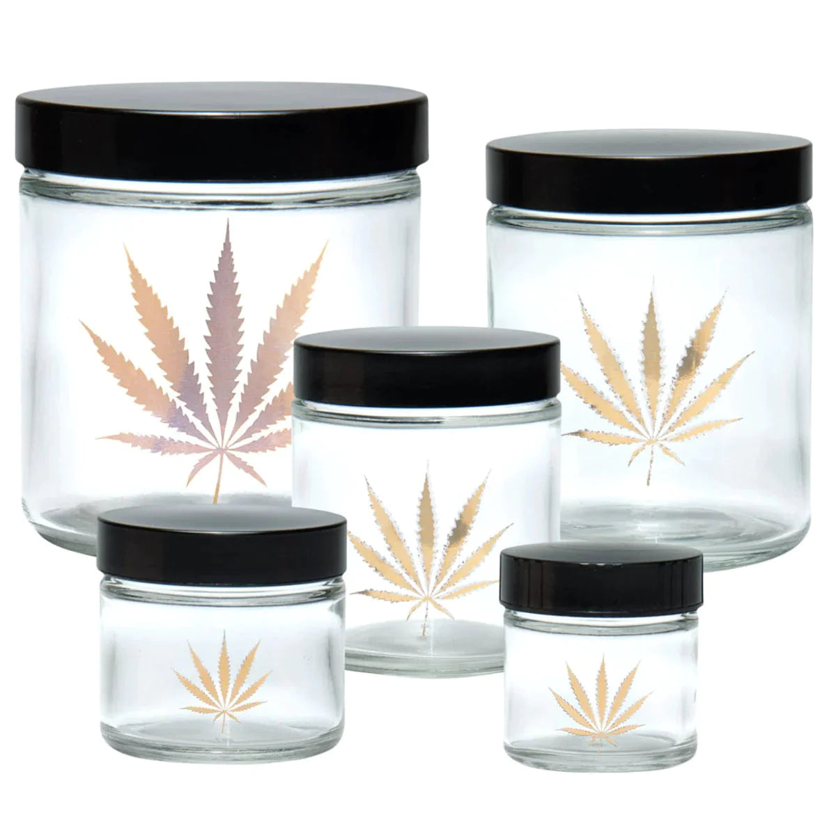 420 Science Clear Screw Top Jar Best Sales Price - Accessories