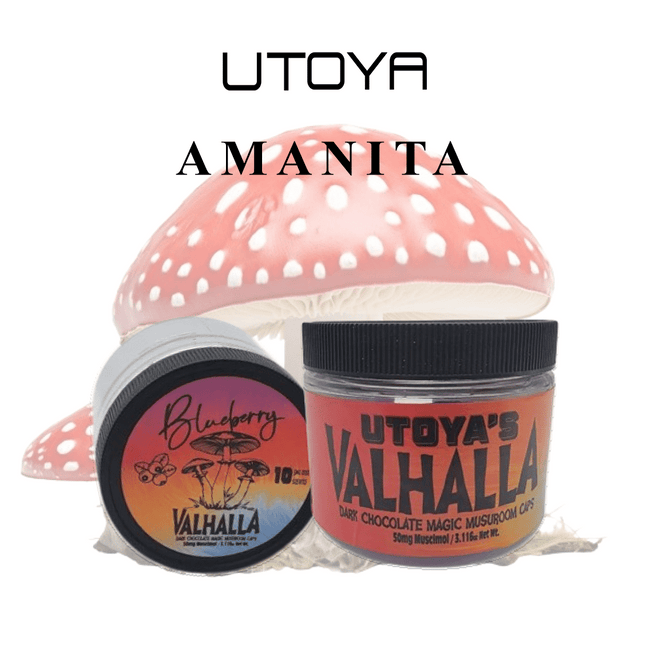 Utoya Amanita Mushroom Chocolate Caps Best Sales Price - Edibles