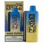 Brixz Bar 9000 Puff Disposable Vape Best Sales Price - Disposables
