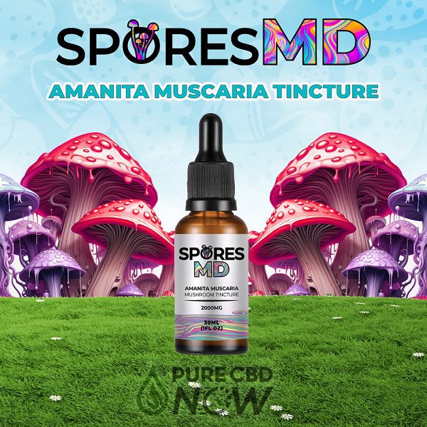 Amanita Muscaria Mushroom Tincture 2000mg Best Sales Price - Tincture Oil