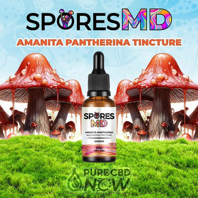 Amanita Pantherina Mushroom Tincture 2000mg HIGH STRENGTH Best Sales Price - Tincture Oil