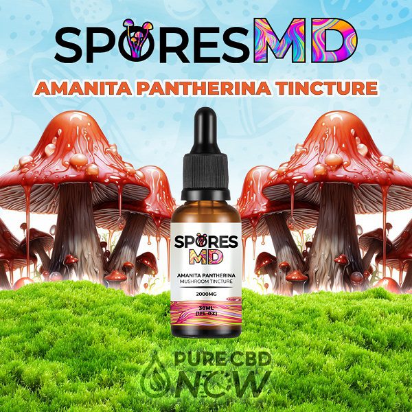 Amanita Pantherina Mushroom Tincture 2000mg HIGH STRENGTH Best Sales Price - Tincture Oil