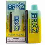 Brixz Bar 9000 Puff Disposable Vape Best Sales Price - Disposables