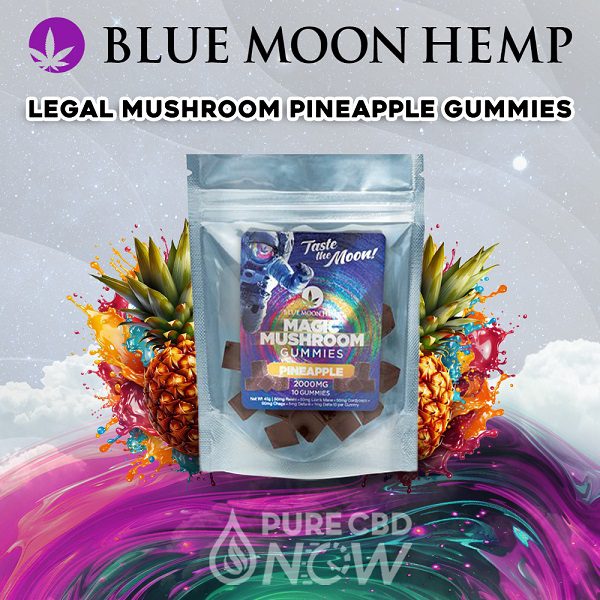 Blue Moon Hemp Legal Mushroom Pineapple Gummies 2000mg (10ct) Best Sales Price - Gummies