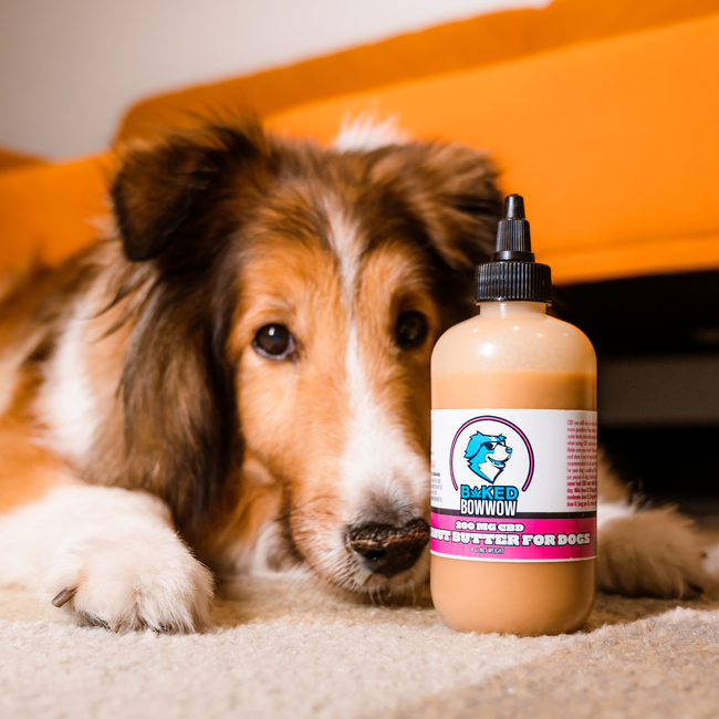 Eighty Six Baked BowWow – Peanut Butter Squeeze Bottle – CBD Dog Treats Best Sales Price - Pet CBD