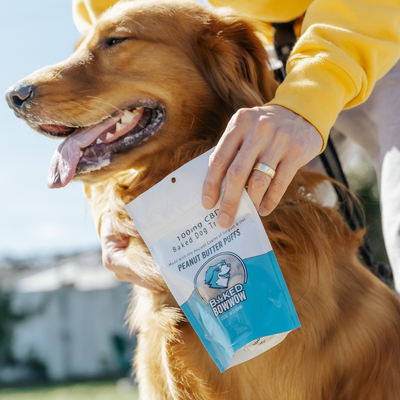 Eighty Six Baked BowWow – Peanut Butter Puffs 100MG – CBD Dog Treats Best Sales Price - Accessories