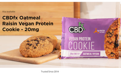 CBDFX CBD EDIBLES - Vegan Protein Chocolate Chip CBD Cookie 20MG Best Sales Price - Edibles