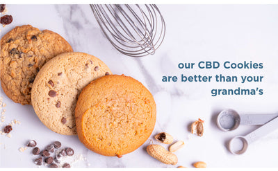 CBDFX CBD EDIBLES - Vegan Protein Chocolate Chip CBD Cookie 20MG Best Sales Price - Edibles