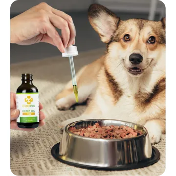 CBDPure CBD Oil for Pets Best Sales Price - Pet CBD