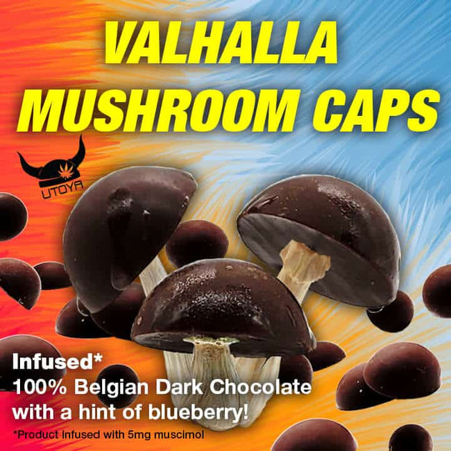 Utoya Amanita Mushroom Chocolate Caps Best Sales Price - Edibles