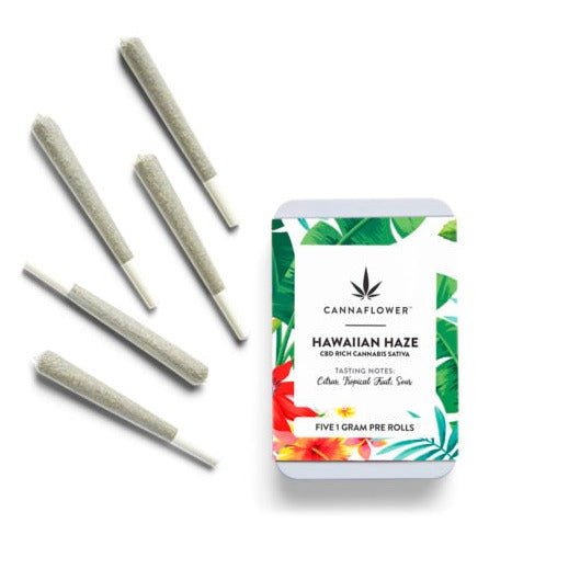 Cannaflower Hawaiian Haze Pre-roll 5 Pack Best Sales Price - Pre-Rolls