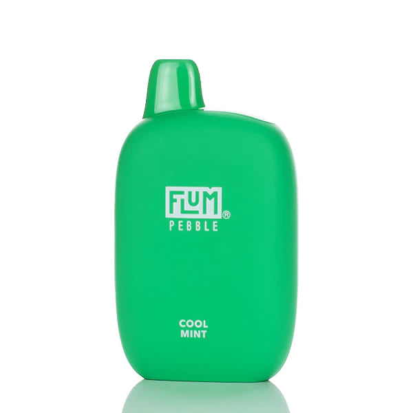 Cool Mint Flum Pebble 6000 Puffs Rechargeable Disposable Vape 14ML Best Sales Price - Disposables