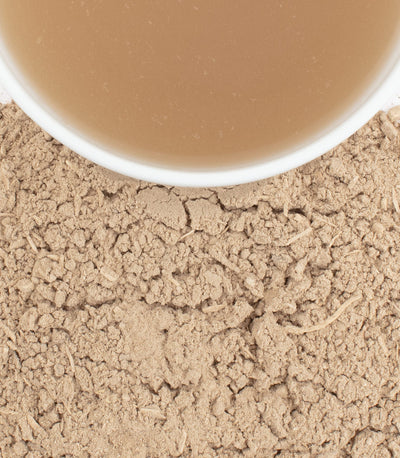 The Hemp Division Kava Root Best Sales Price -