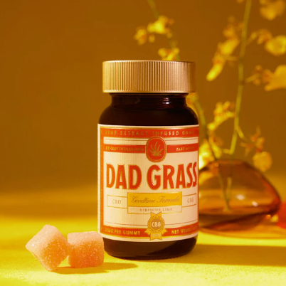 Dad Grass Goodtime Formula CBD + CBG Gummies Best Sales Price - Gummies