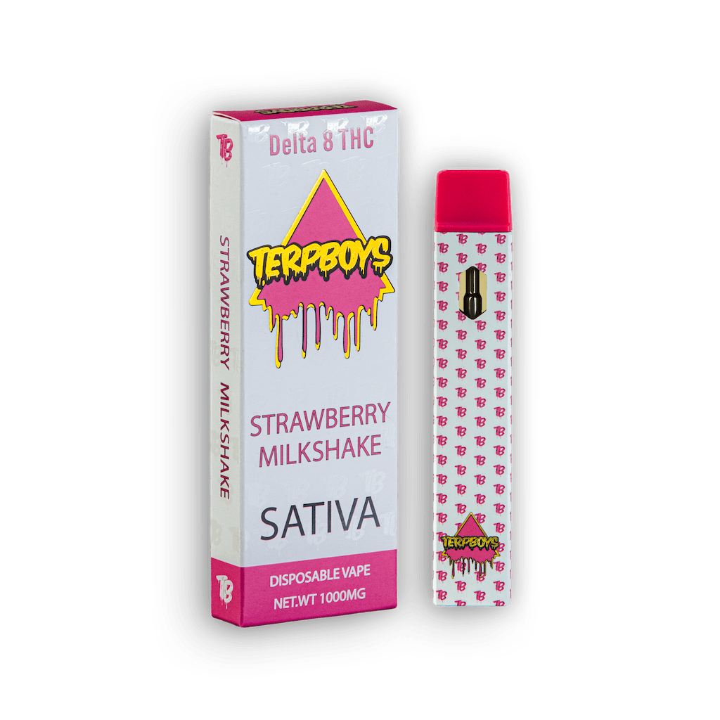 TerpBoys Sativa Delta-8 THC Disposable Vapes 1000mg Best Sales Price - Vape Pens