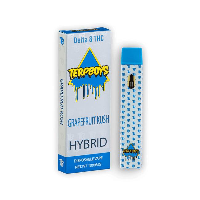 TerpBoys Hybrid Delta-8 THC Disposable Vapes 1000mg Best Sales Price - Vape Pens