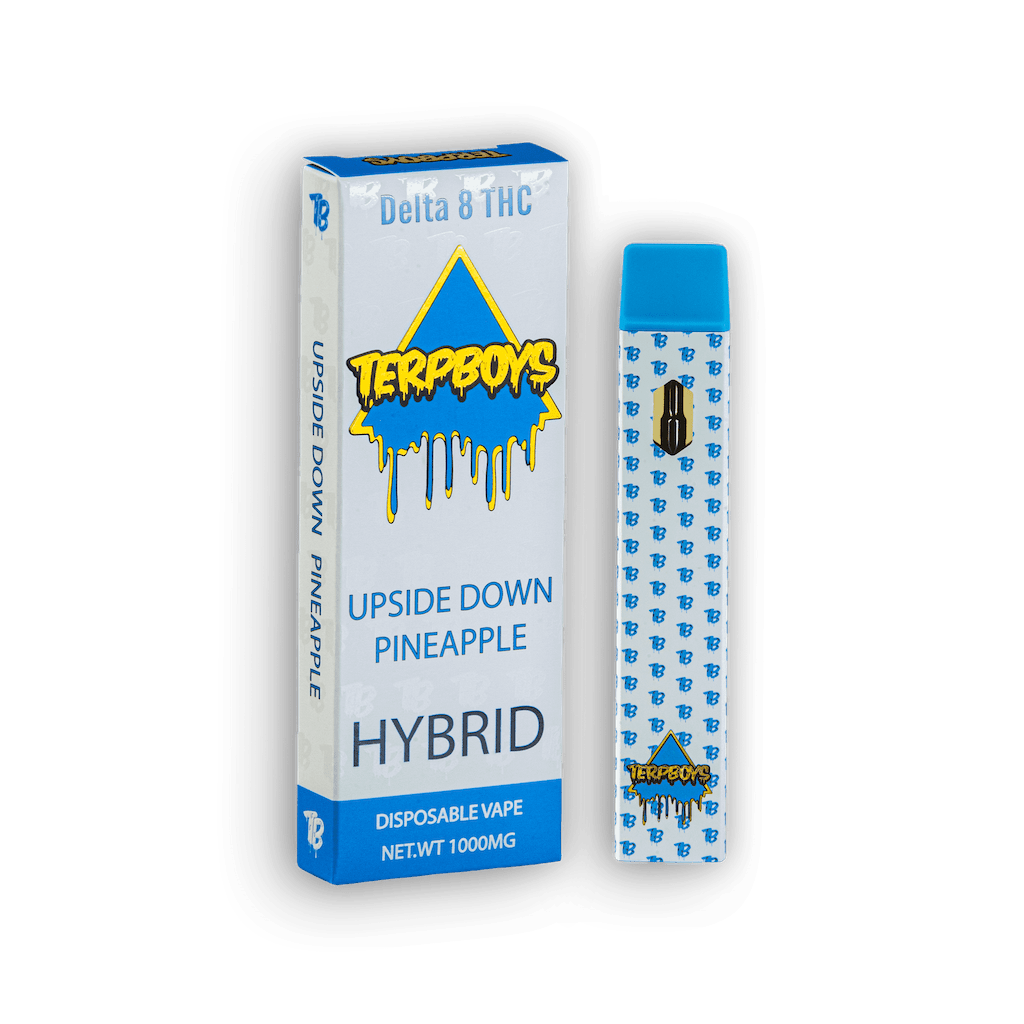 TerpBoys Hybrid Delta-8 THC Disposable Vapes 1000mg Best Sales Price - Vape Pens