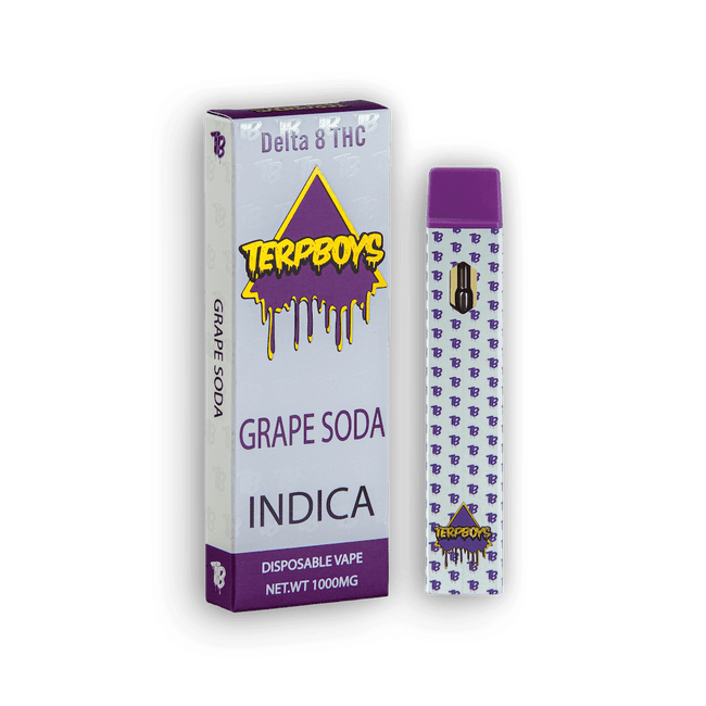 TerpBoys Indica Delta-8 THC Disposable Vapes 1000mg Best Sales Price - Vape Pens