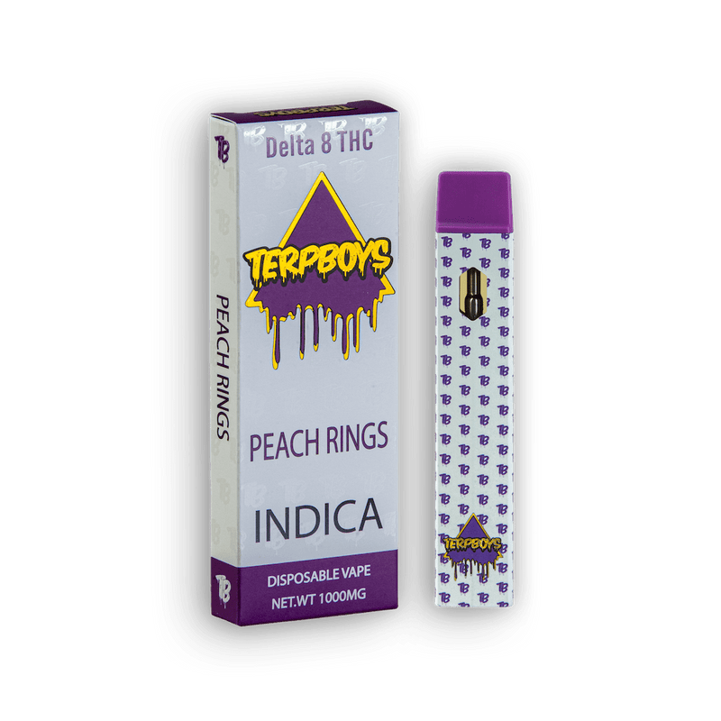 TerpBoys Indica Delta-8 THC Disposable Vapes 1000mg Best Sales Price - Vape Pens