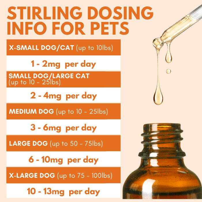 Stirling CBD - CBD Oil for Dogs (Large Breed Dogs) Best Sales Price - Tincture Oil