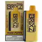 Brixz Bar 9000 Puff Disposable Vape Best Sales Price - Disposables