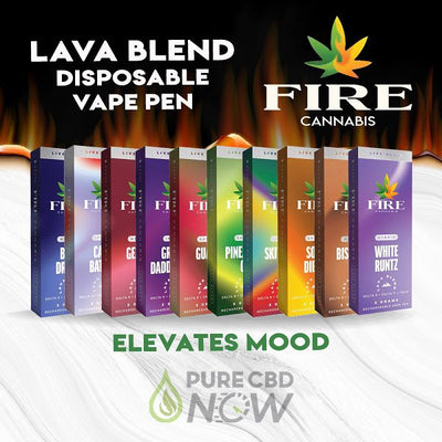 Fire Cannabis Lava Blend Disposable Vape Pen 2g Best Sales Price - Vape Pens