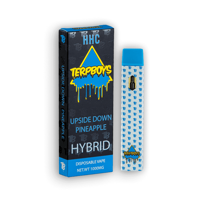 TerpBoys Hybrid HHC Disposable Vapes 1000mg Best Sales Price - Vape Pens