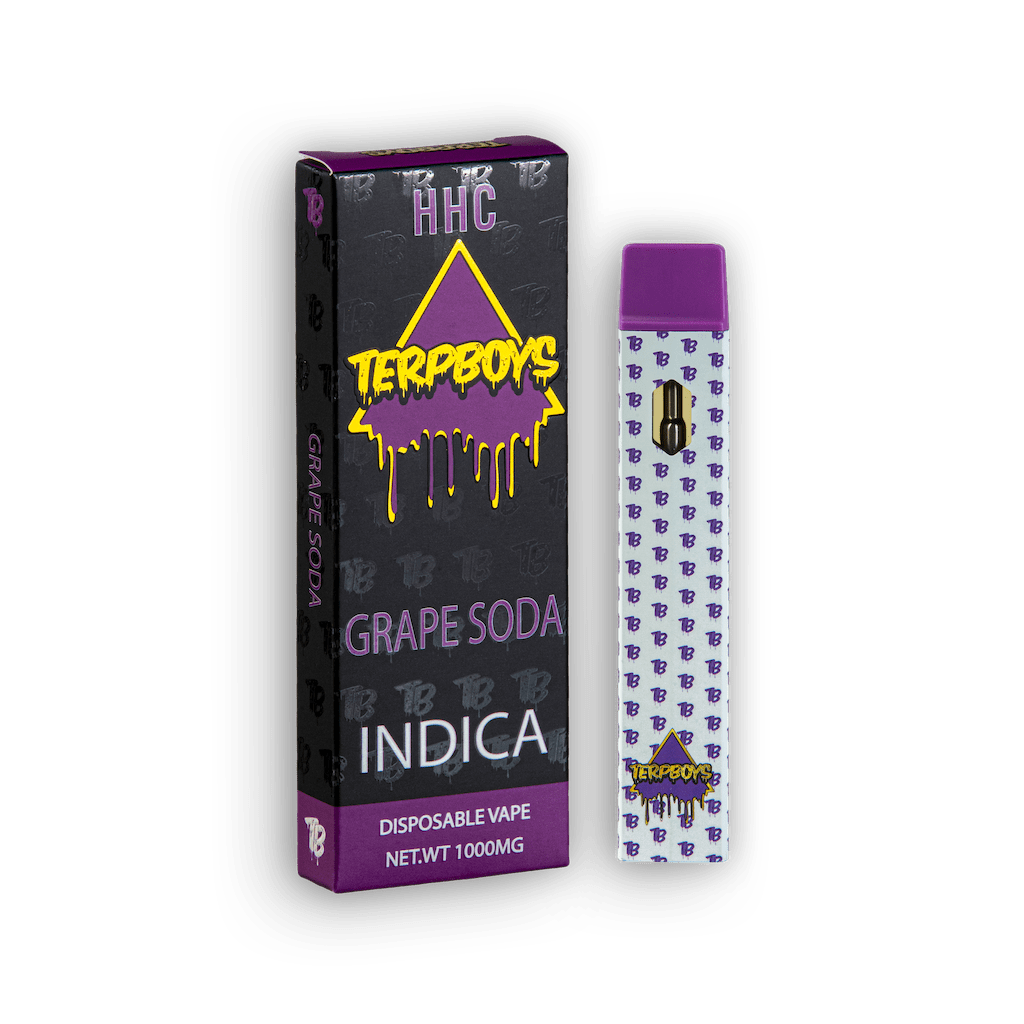 TerpBoys Indica HHC Disposable Vapes 1000mg Best Sales Price - Vape Pens